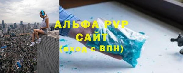 гашик Алексин