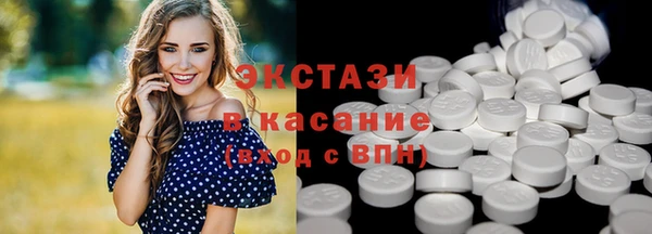 гашик Алексин