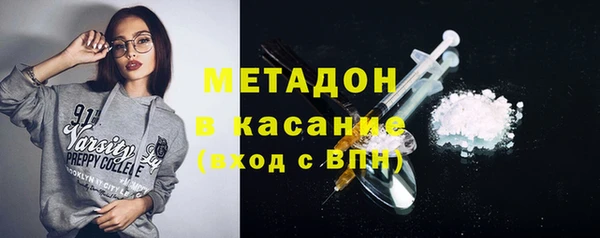 гашик Алексин
