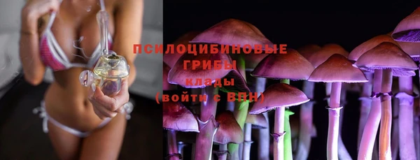 твердый Алзамай