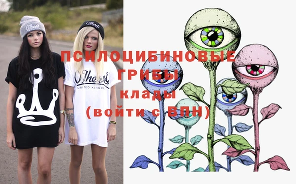 дживик Алексеевка